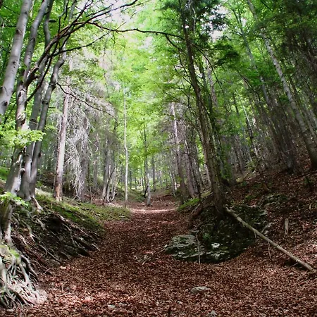 Cakyho Kuria - Pre 4 Osoby S Krbom A Saunami Apartmán Smižany