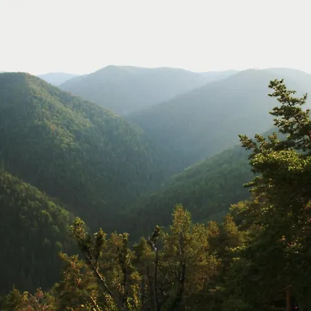 Cakyho Kuria - Pre 4 Osoby S Krbom A Saunami * Smižany