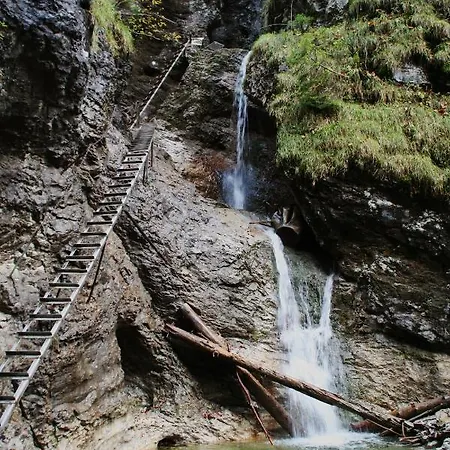 Cakyho Kuria - Pre 4 Osoby S Krbom A Saunami شقة