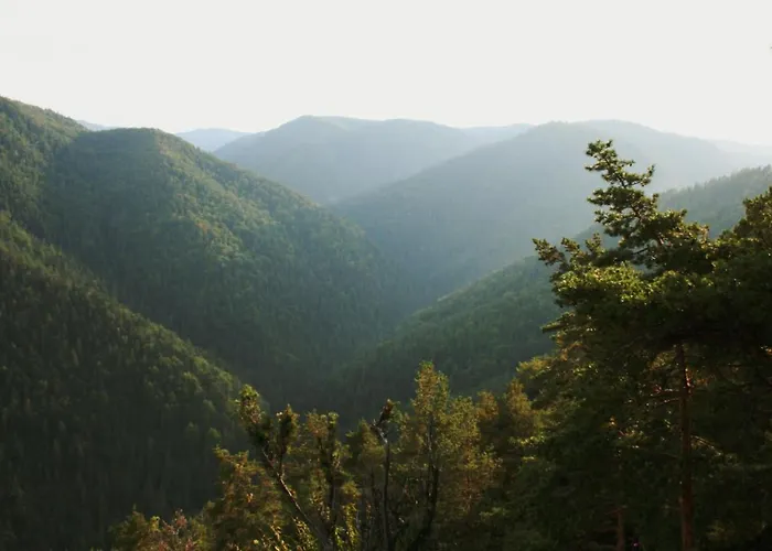 Cakyho Kuria - Pre 4 Osoby S Krbom A Saunami * Smižany
